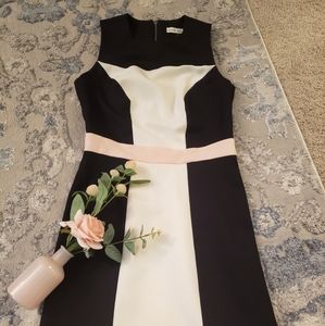 Classic multi-tone fitted dress